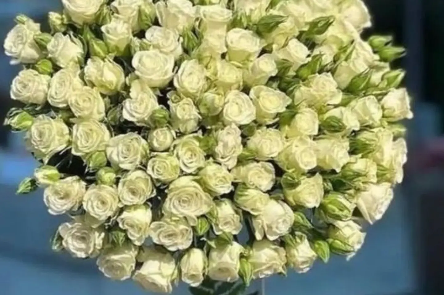 فازة الورد ابيض