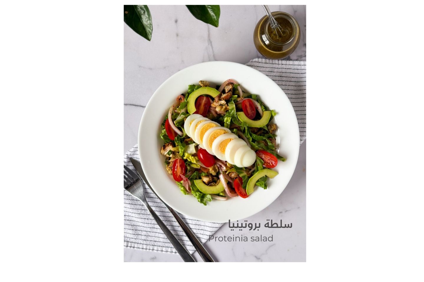 سلطة بروتينيا
