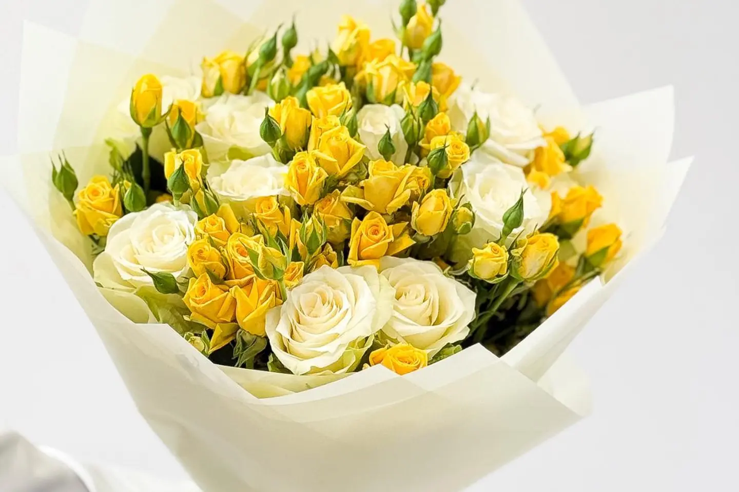 باقة إشراقة الشمس