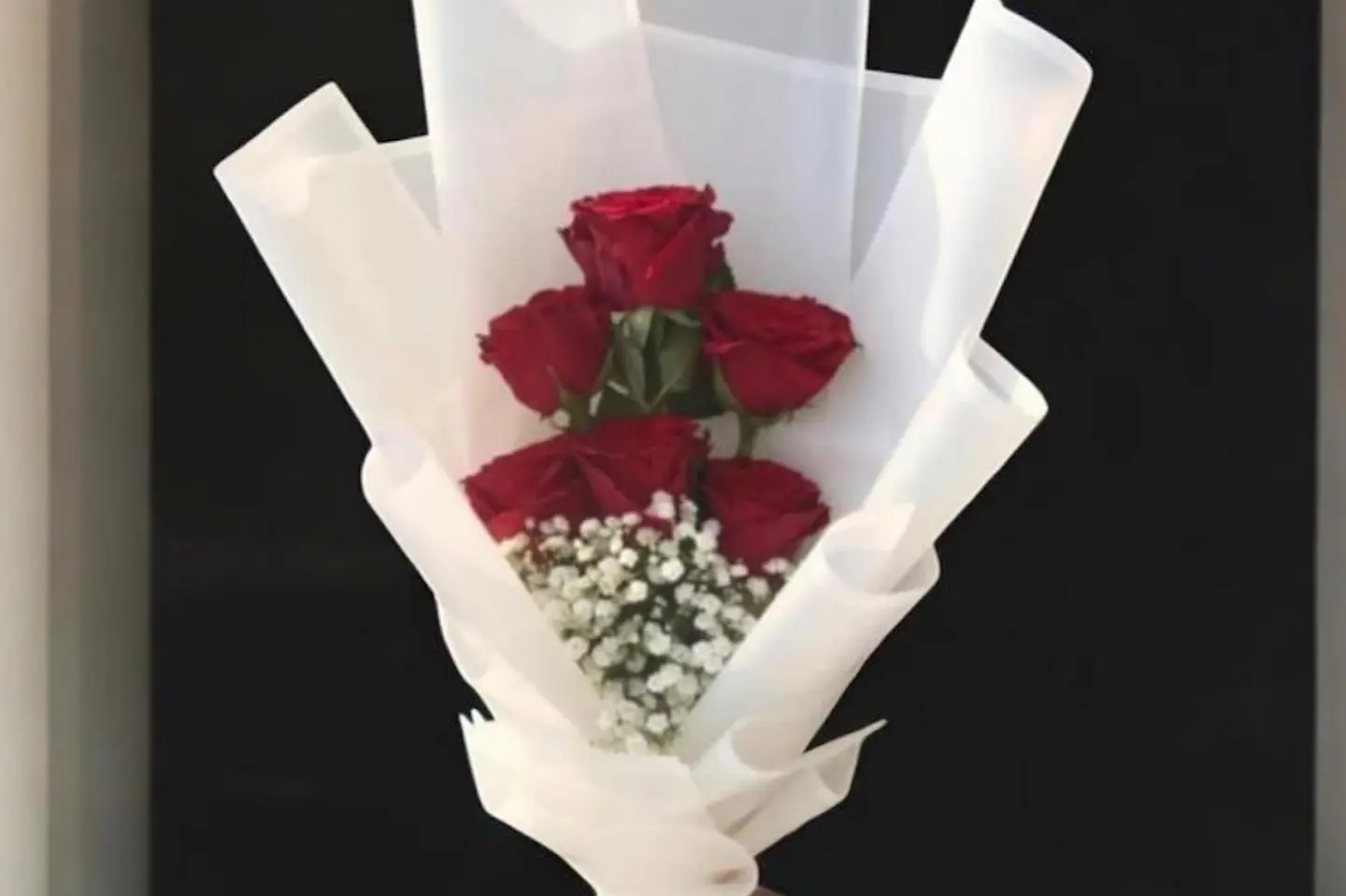 باقة هولزا