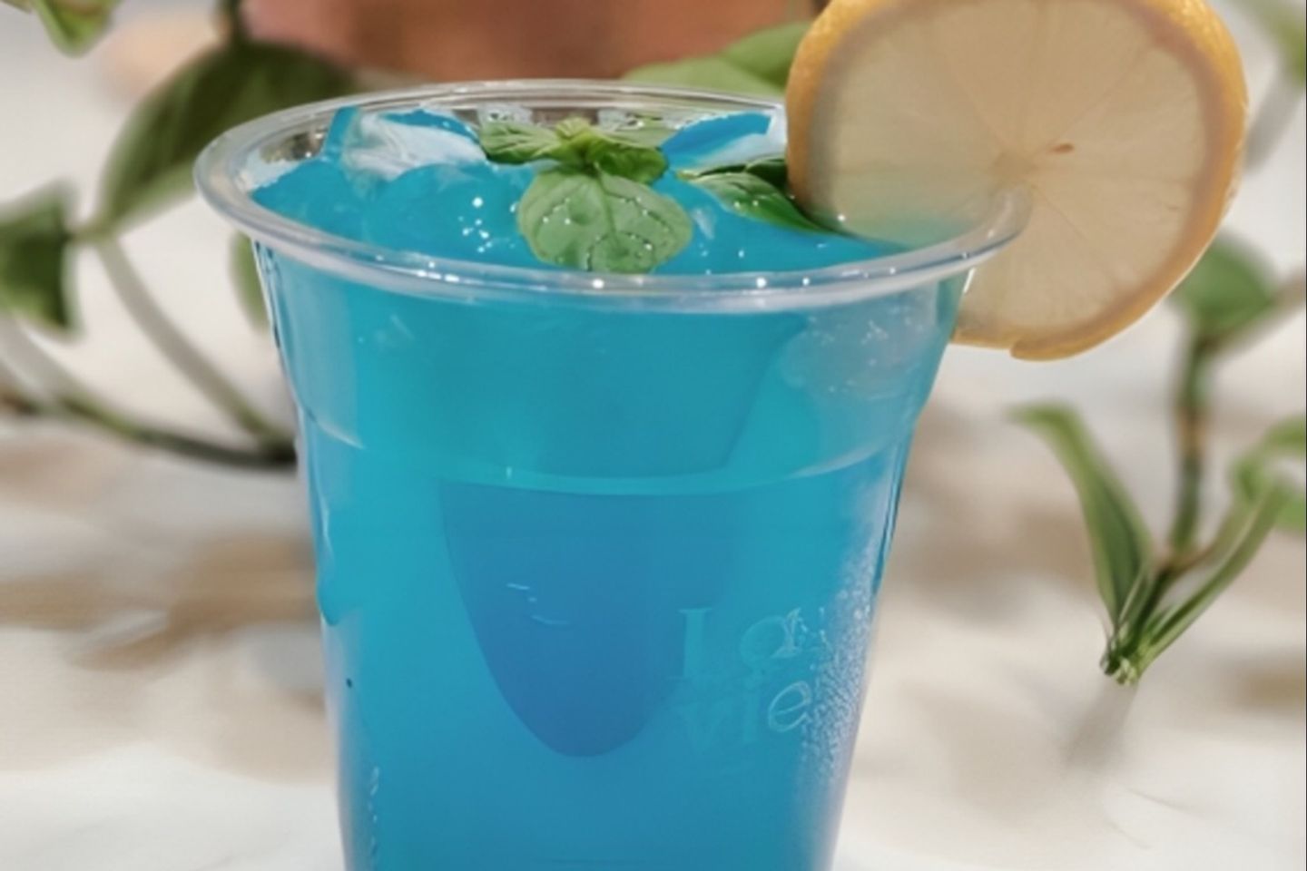 Coconut Mojito