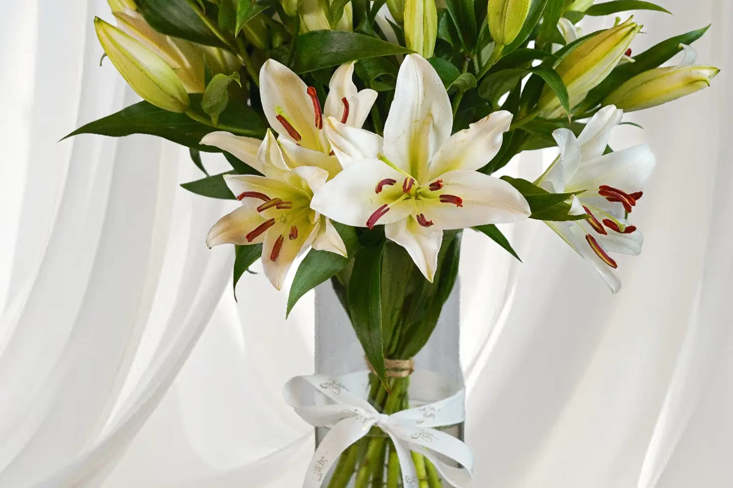 تنسيق لمحبين الكازابلانكا