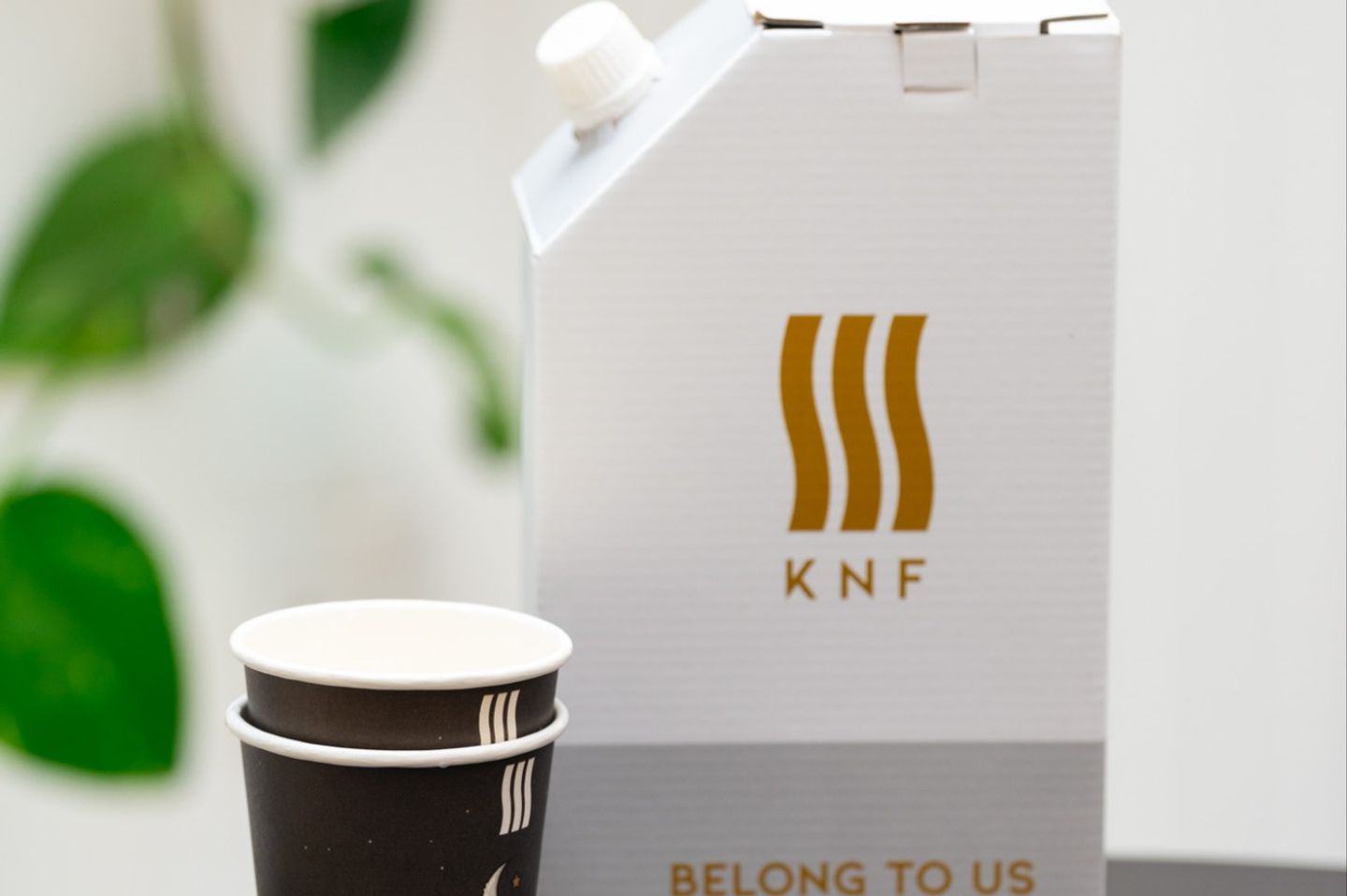 Box Coffee