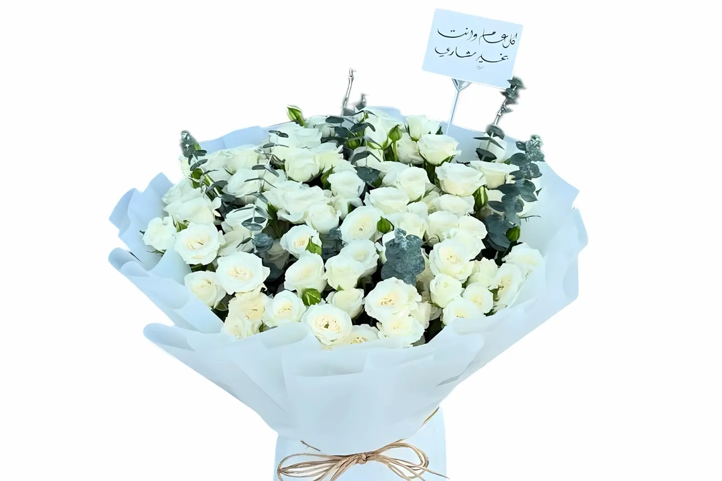 باقة بيبي وايت