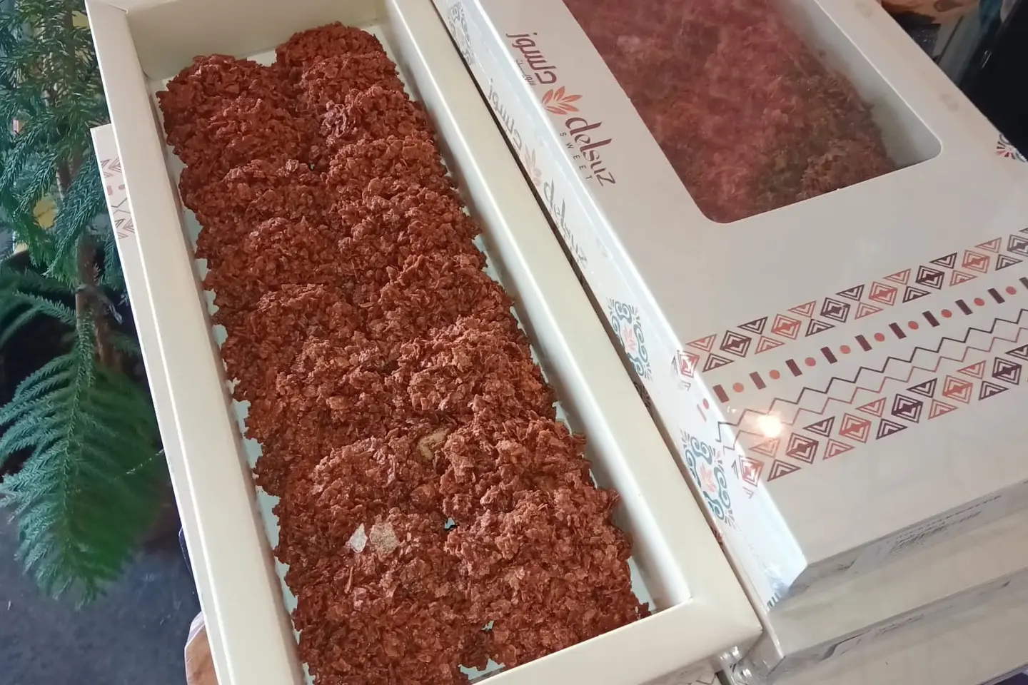 دلسوز كرانشي