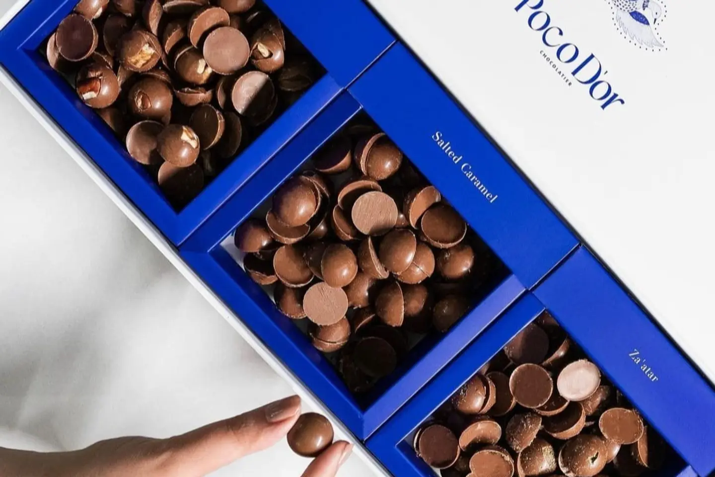 بوكودور ليتل بايتس