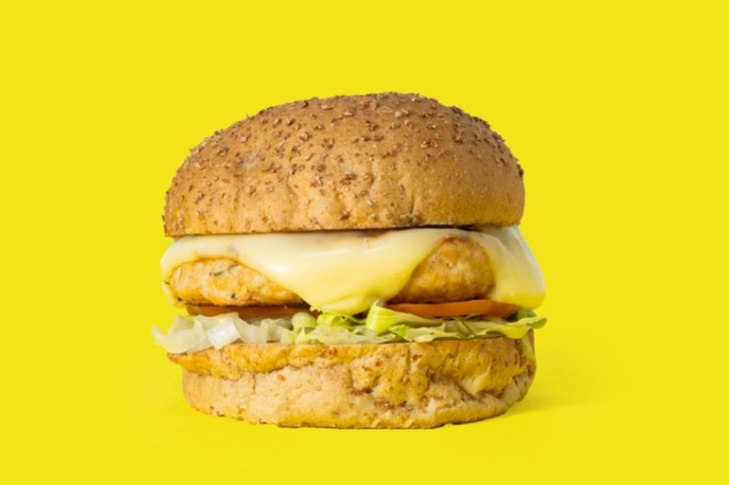 Chicken Burger - Single