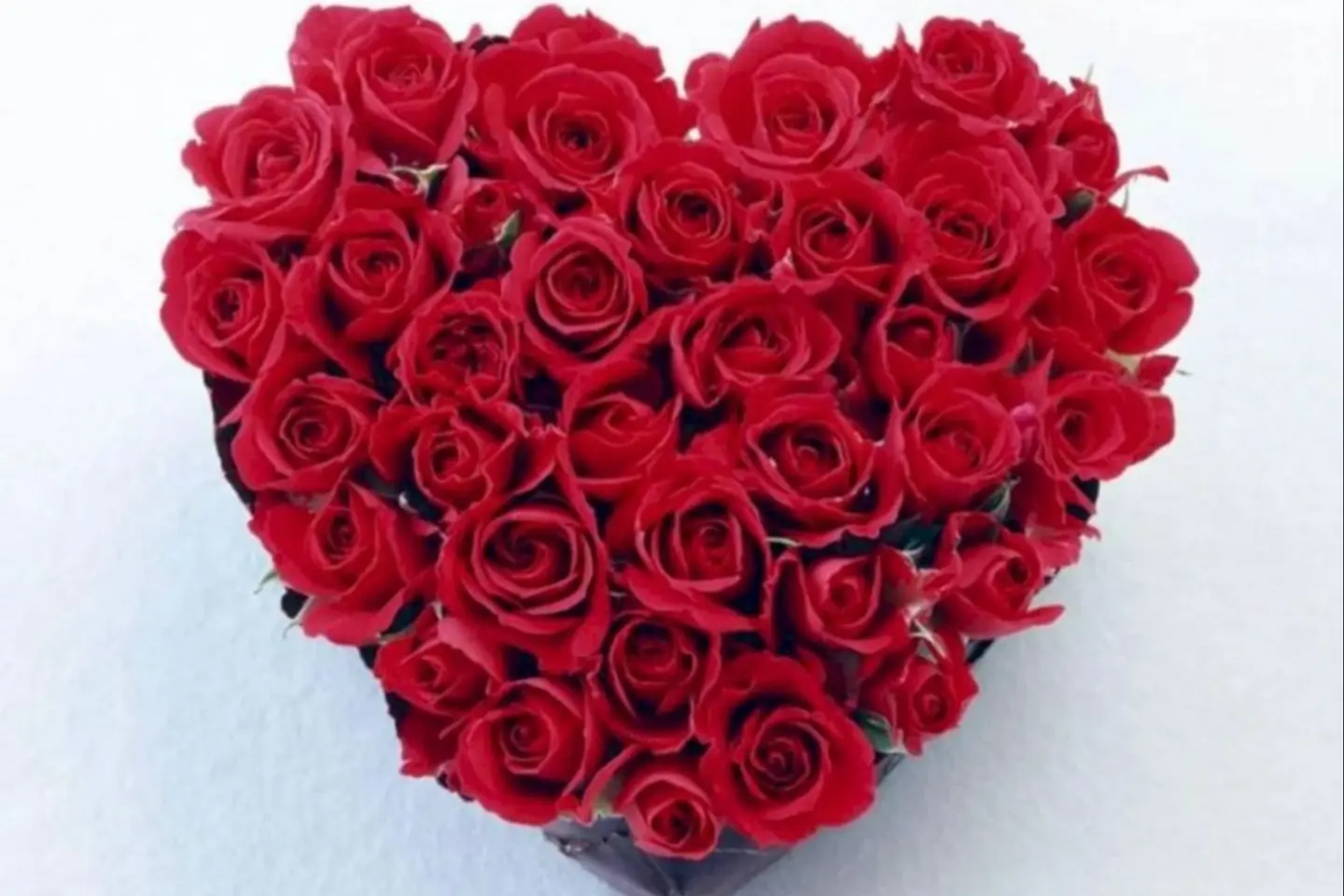 Red Rose Heart