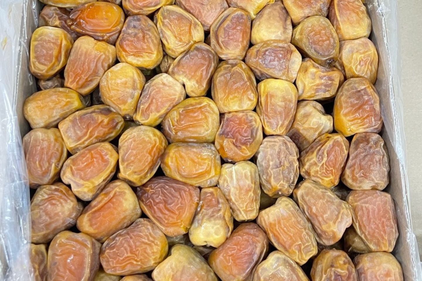 Sukkary Maftoul, Medium Grain