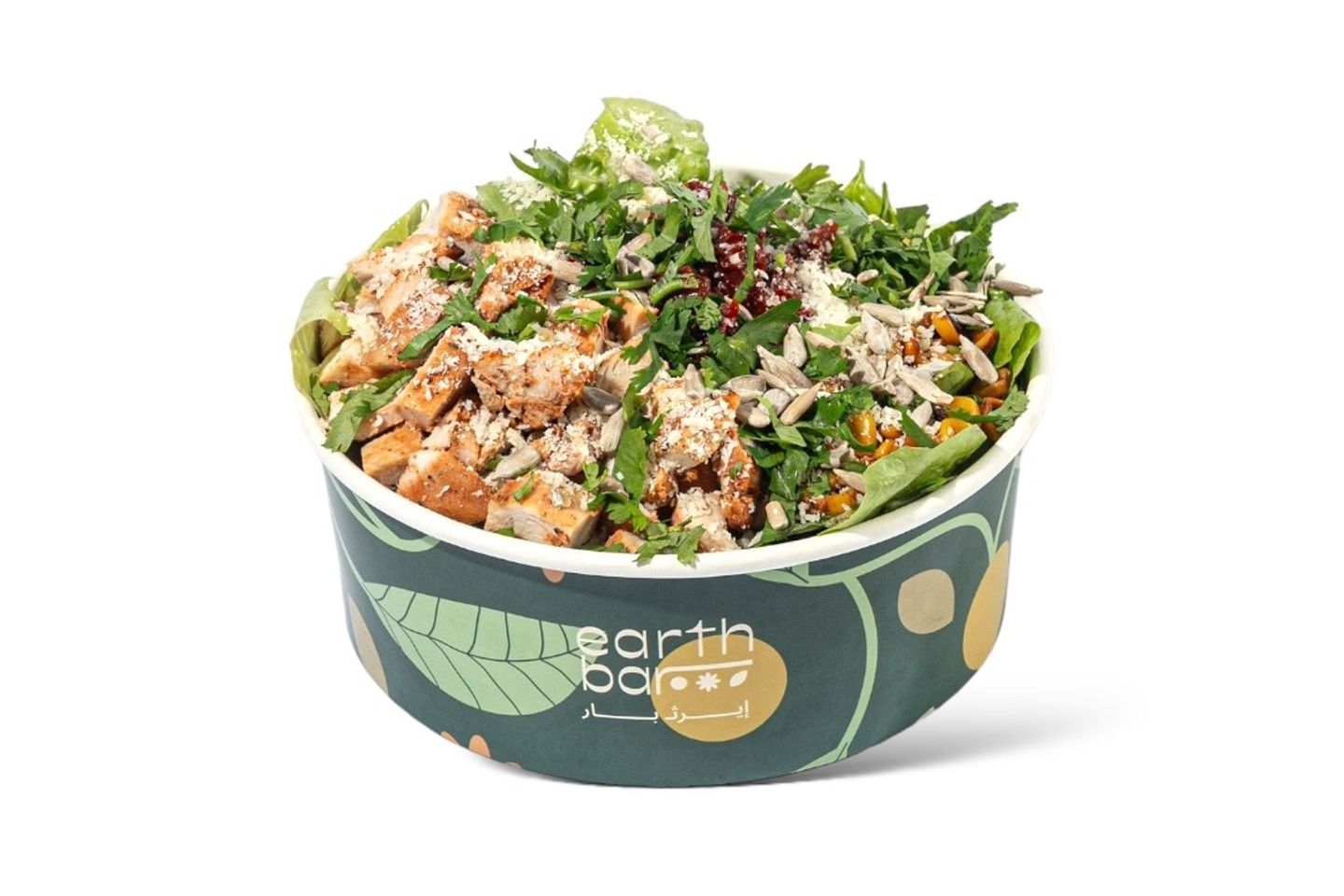 Large Cilantro Salad