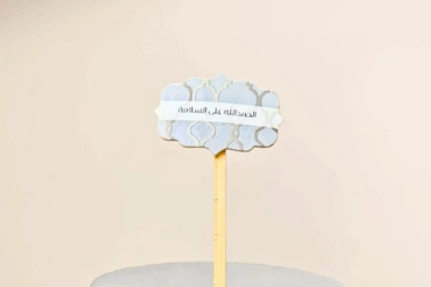 تغريسة الحمدالله على السلامة