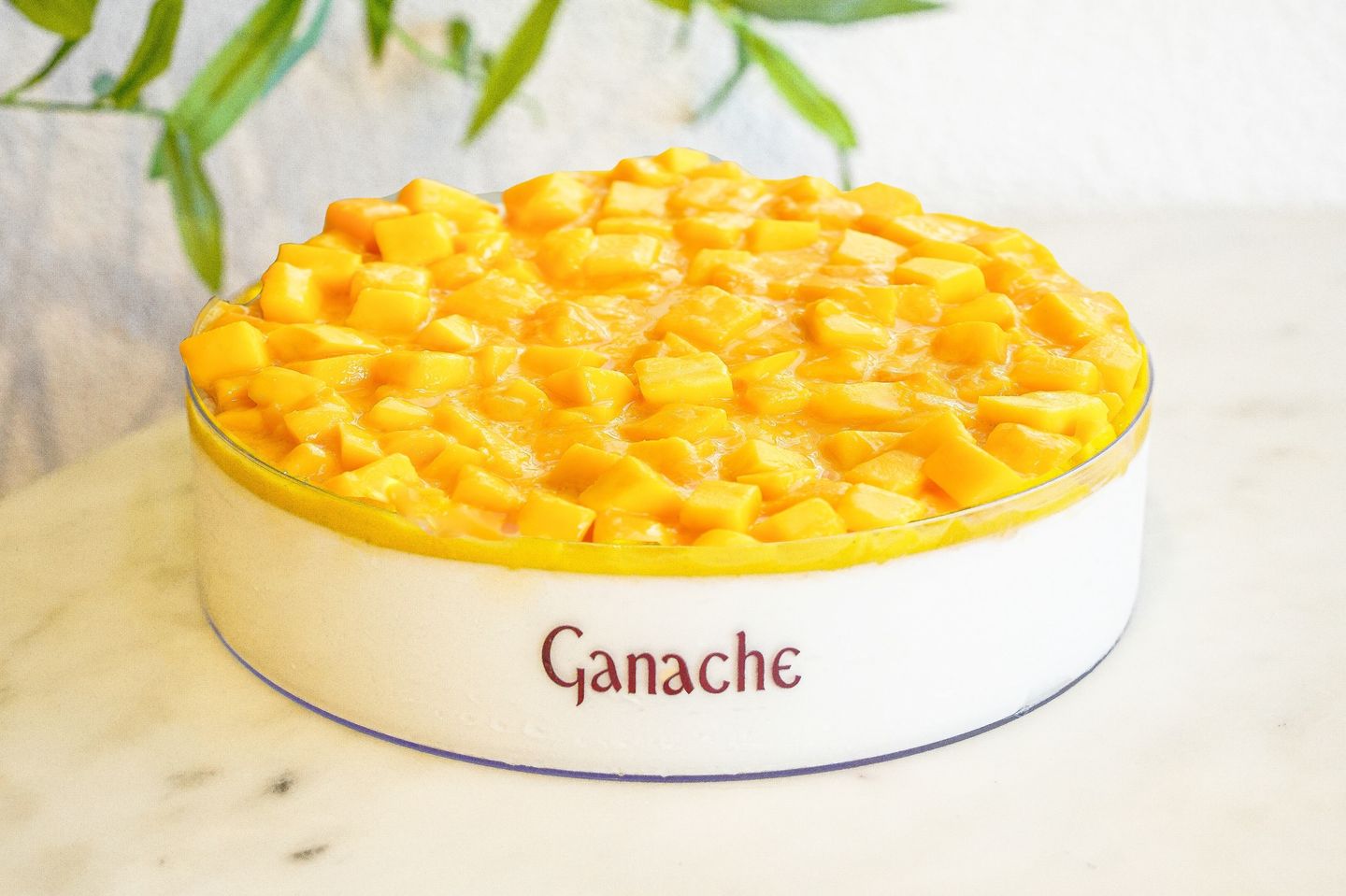 Mango Cloud Cake