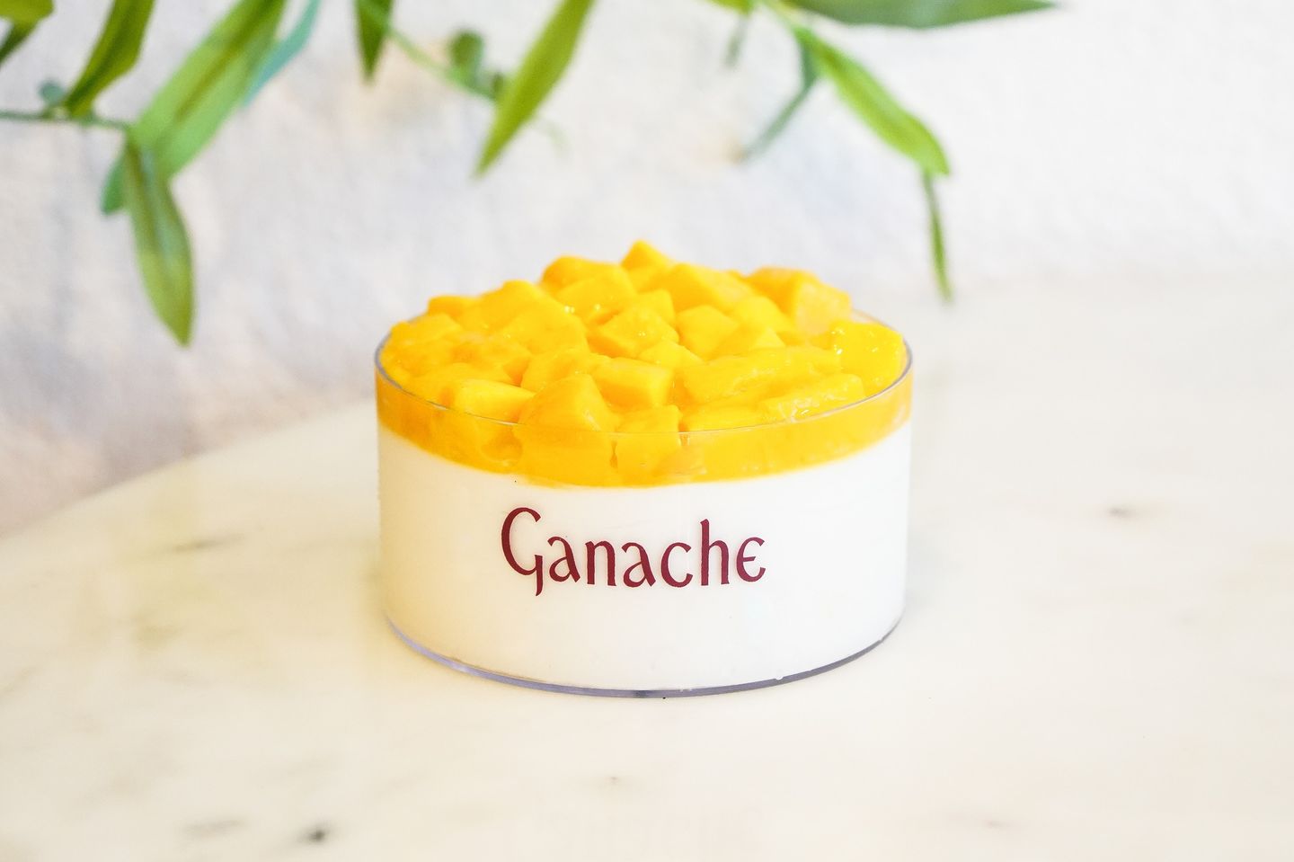 Mango Cake