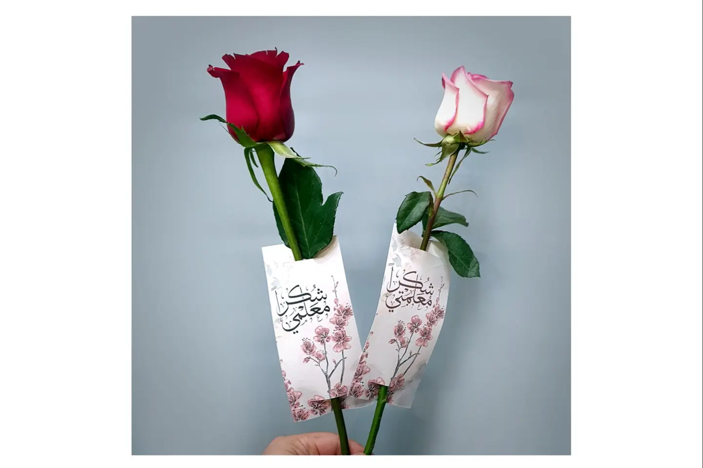 شكرا معلمي