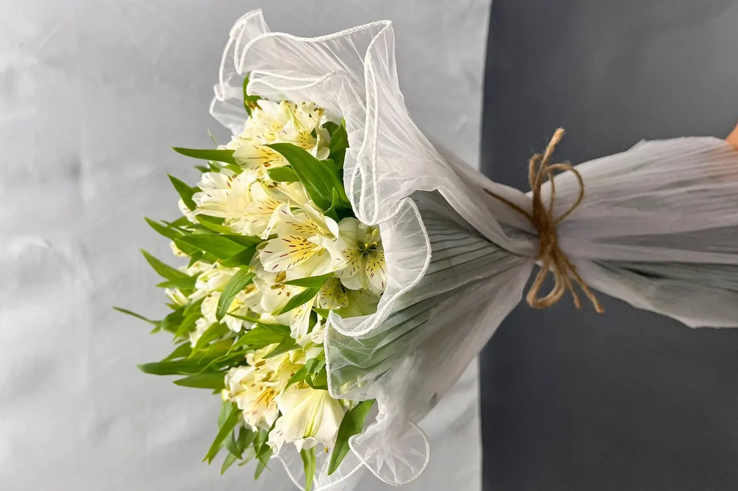 وردة و شتلة ٠٠١٥٦