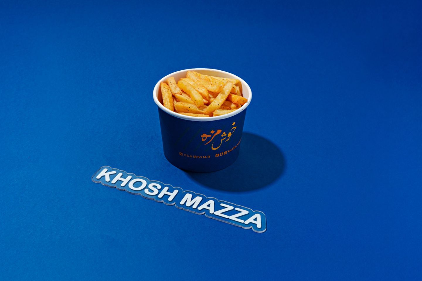 Spiced Fries