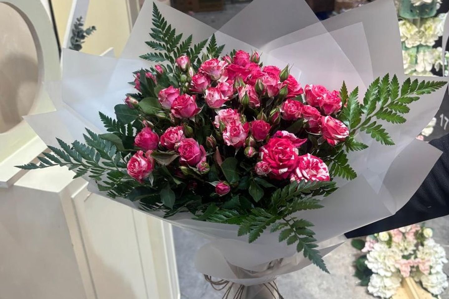 بيبي روز ١