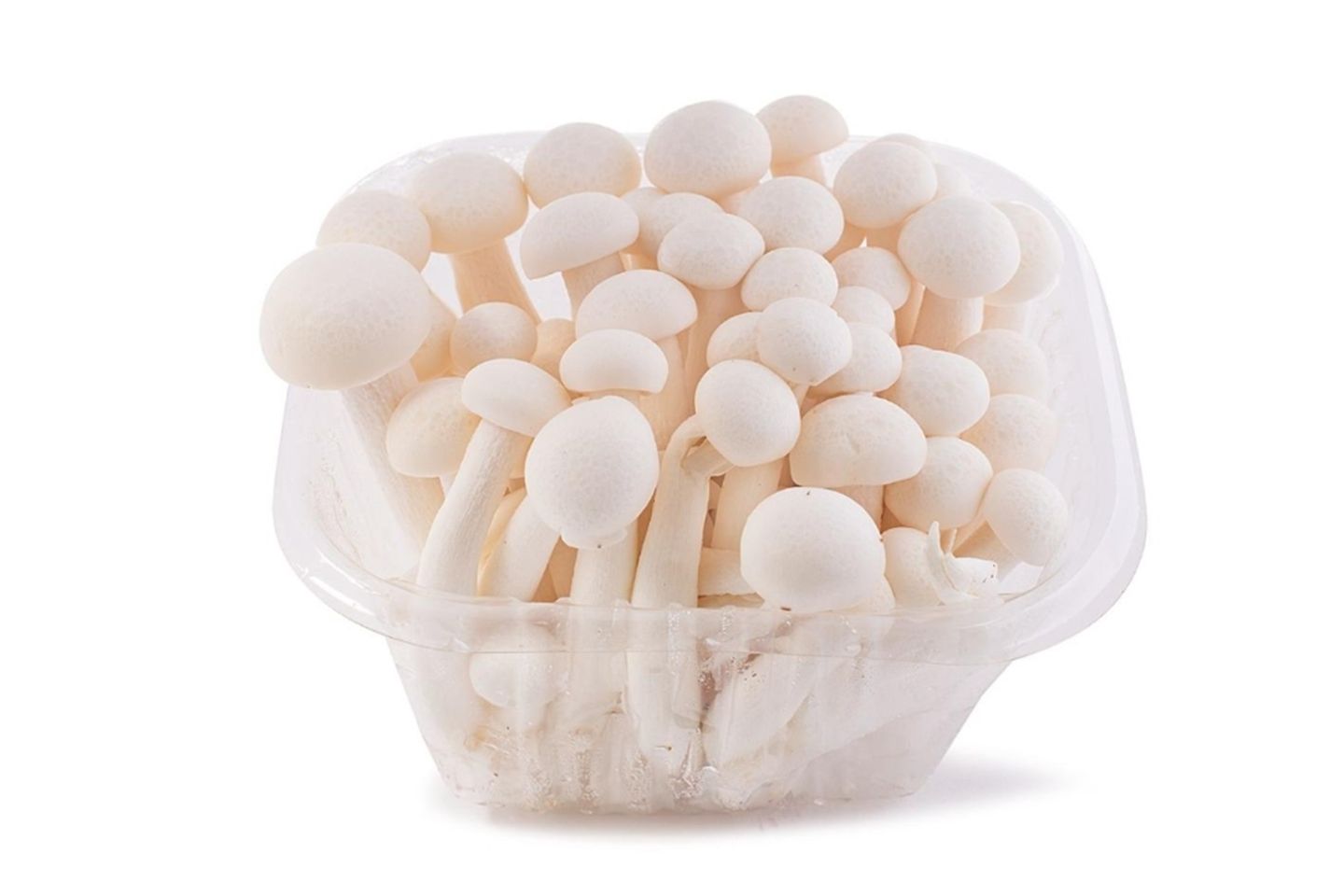 White Mushroom