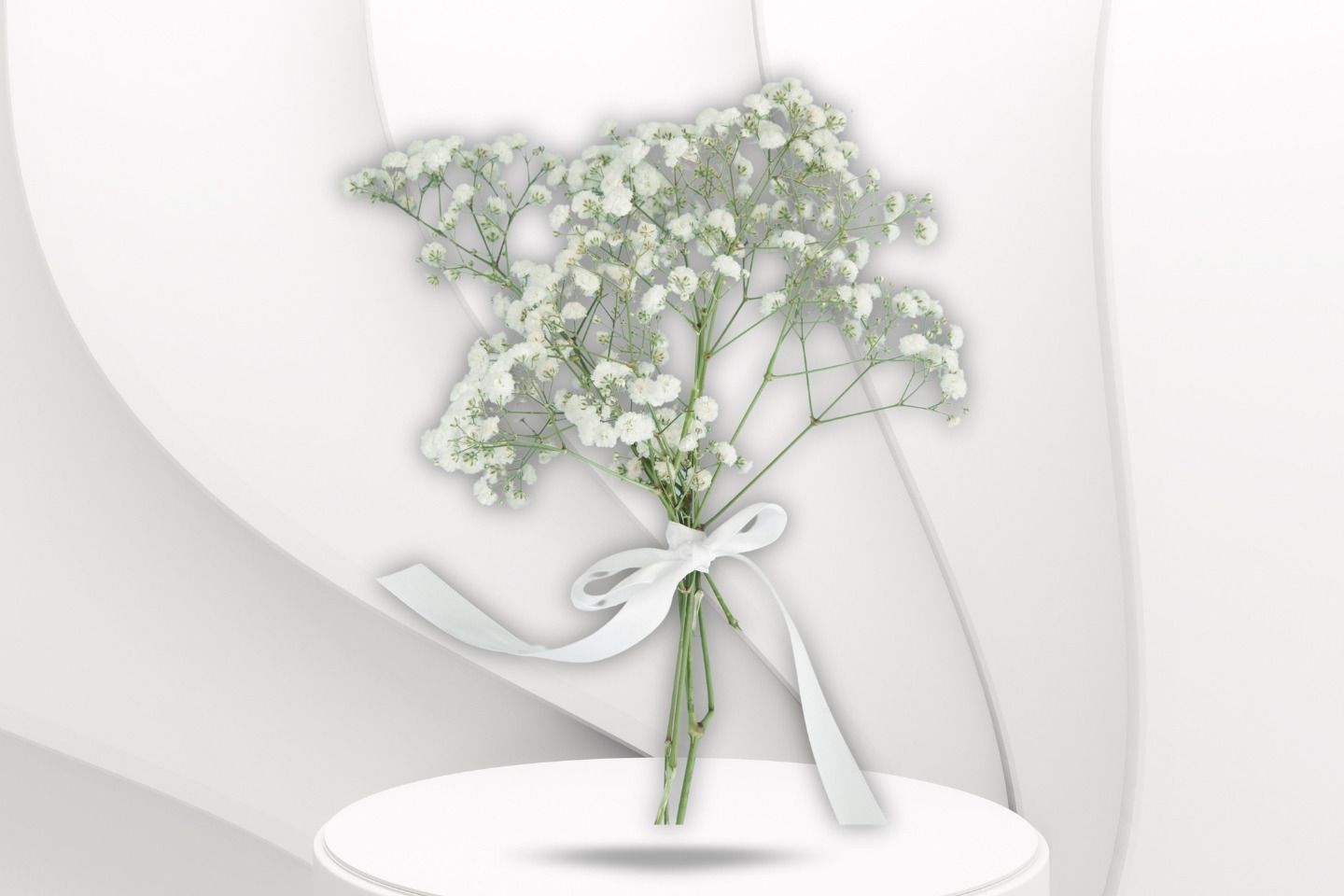 Gypsophilia