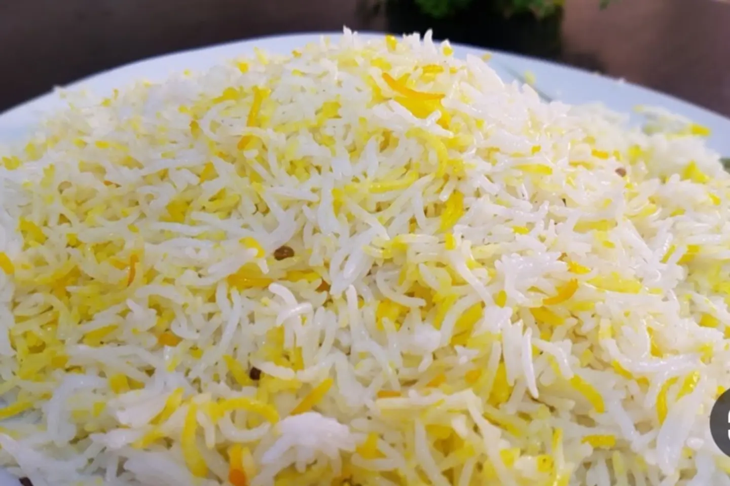 رز شعبي