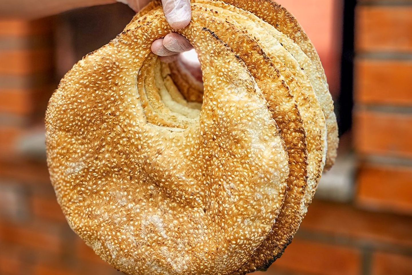 كعكة عصرونية سادة