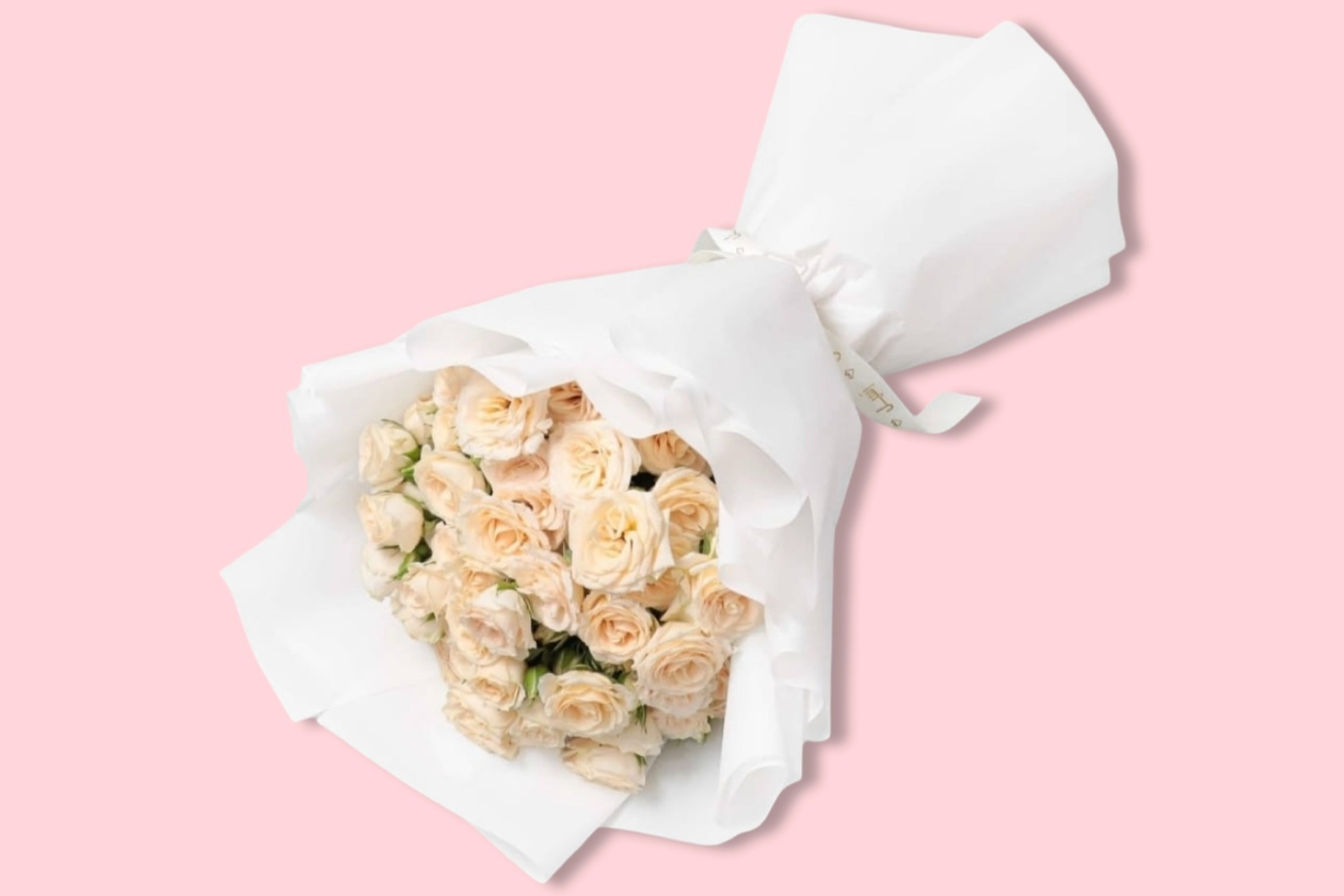 باقة بيبي روز