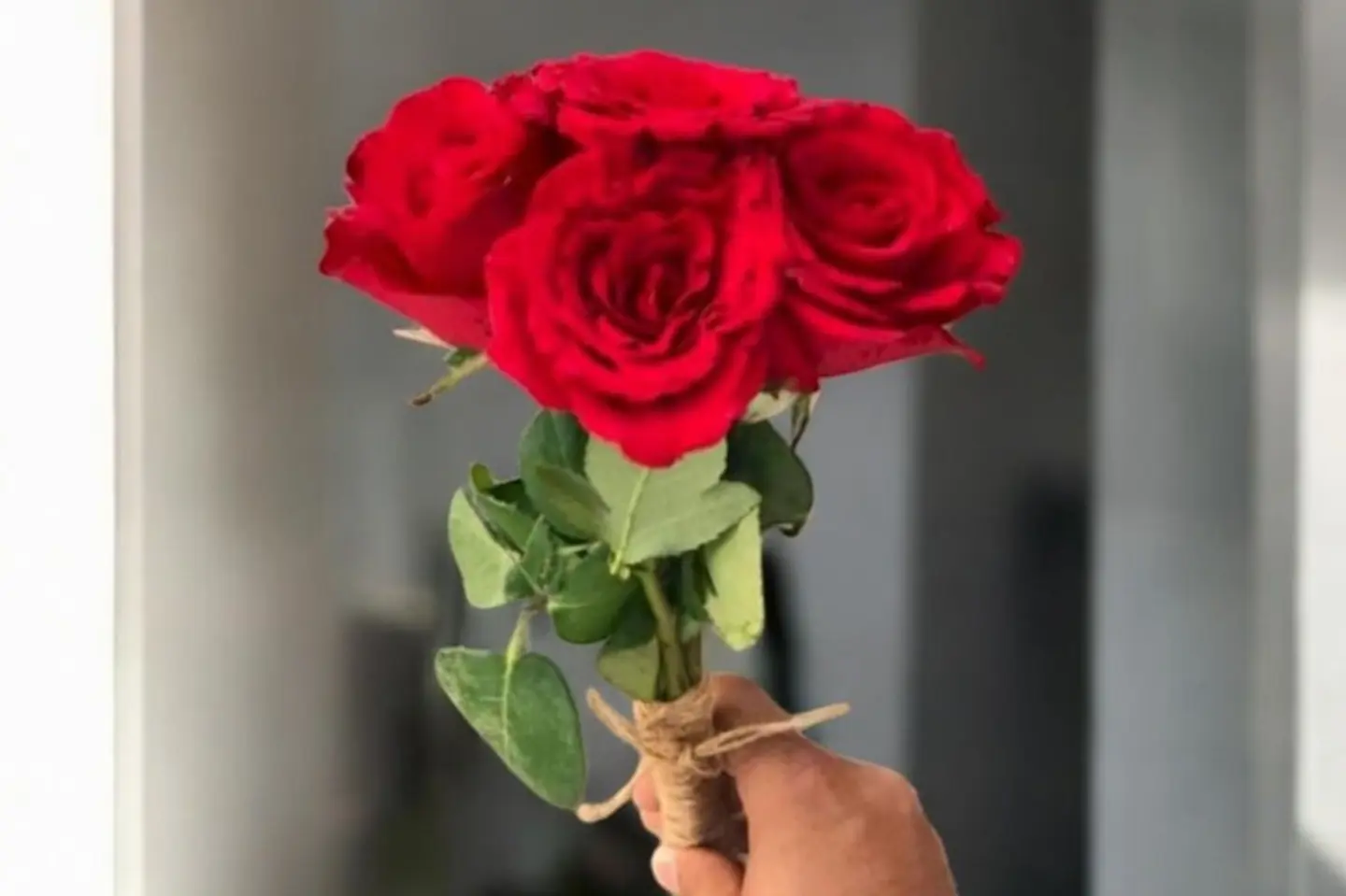 Rose 38