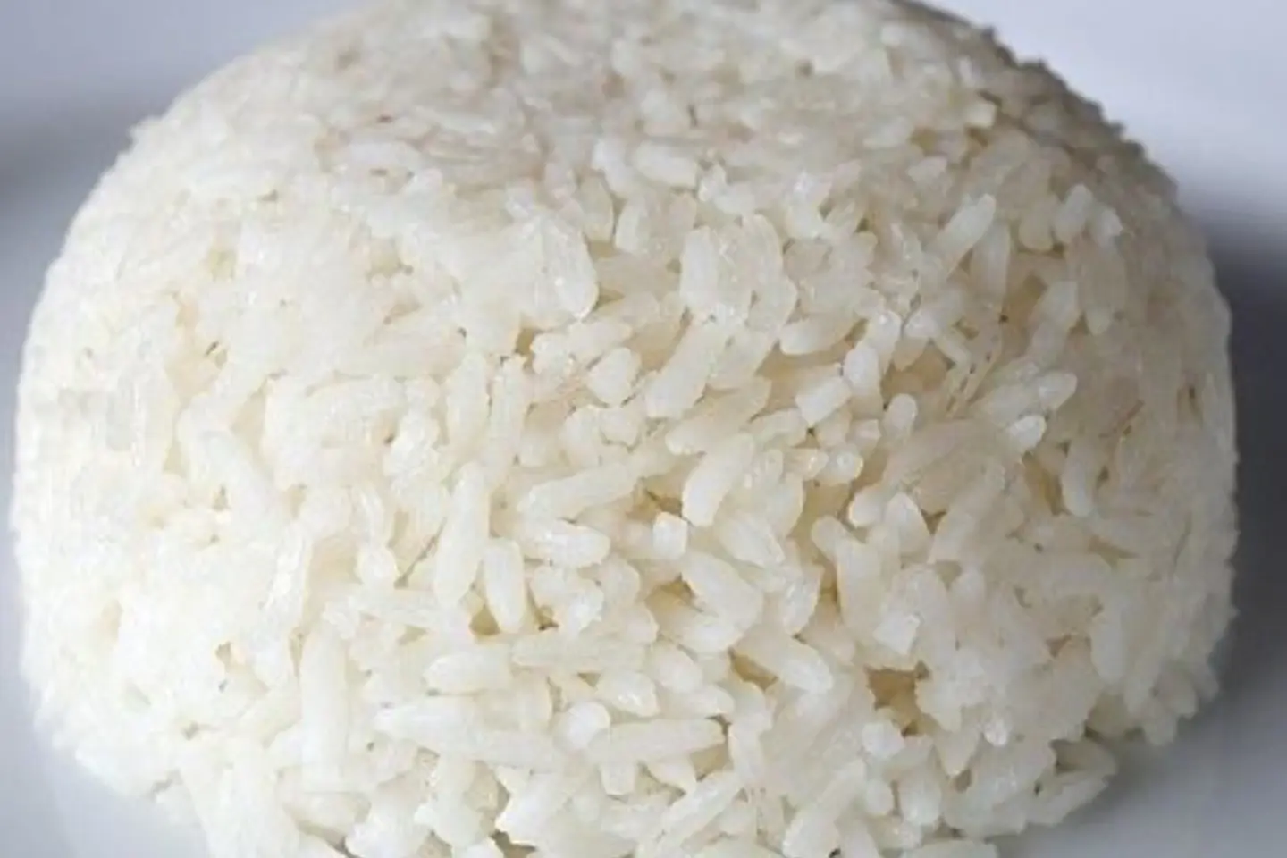 رز ابيض