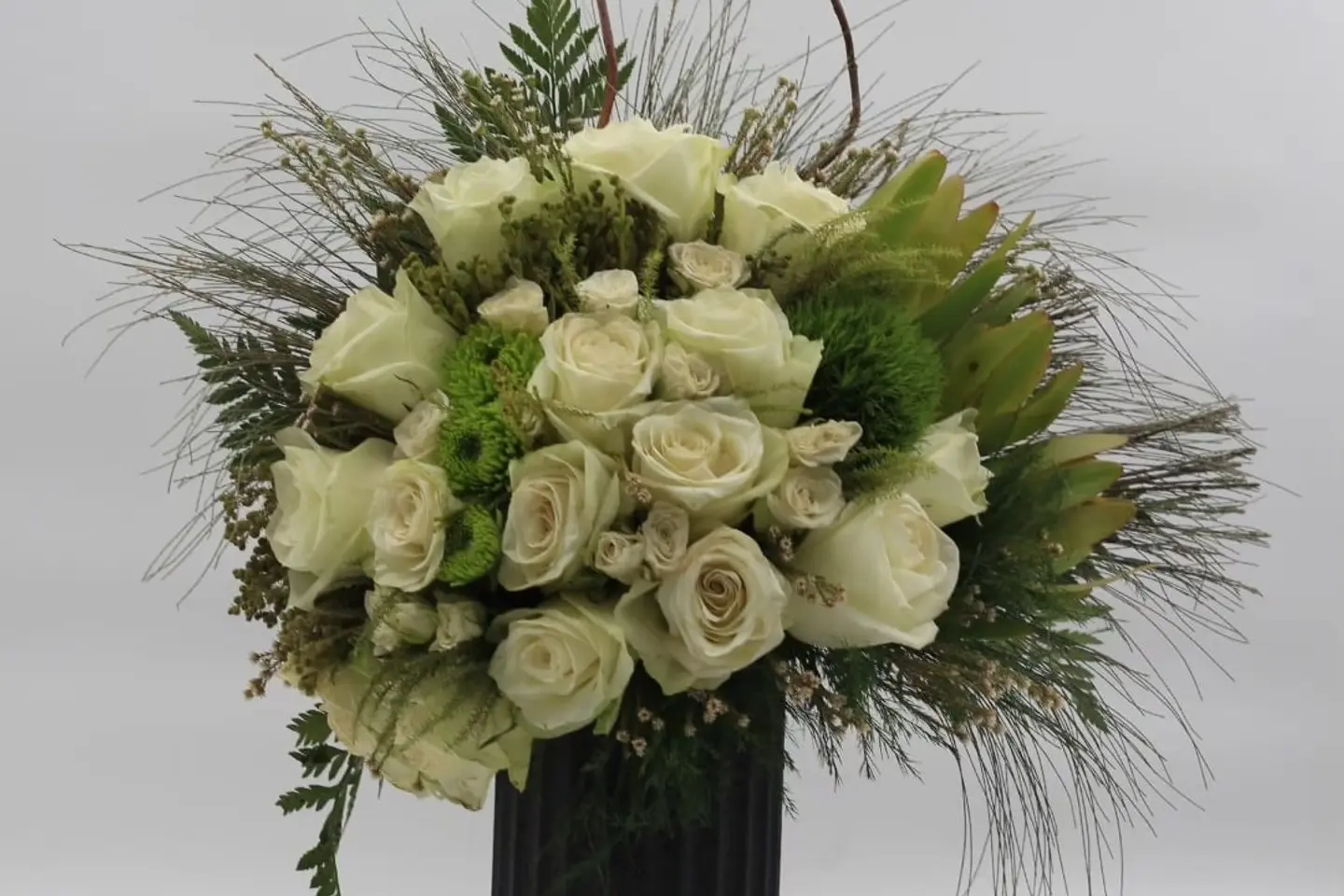 وردة و شتلة ٠٠٠٢٢