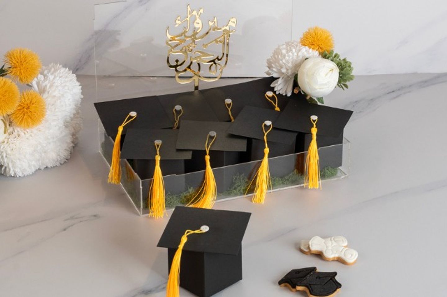 توزيعات التخرج