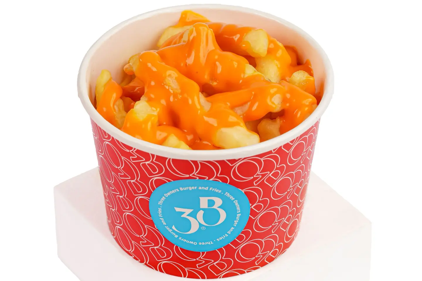 Cheese Fries