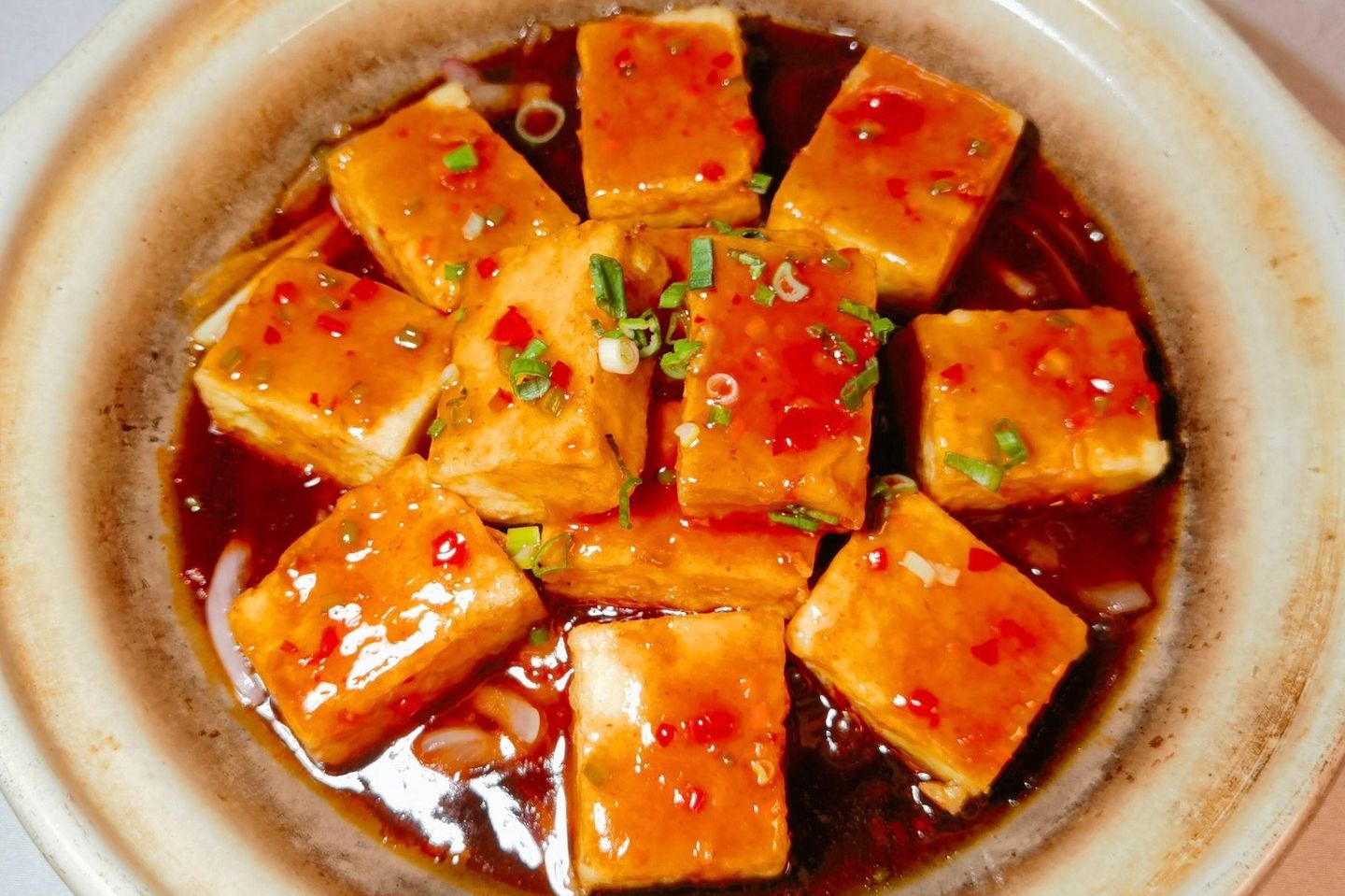 V3 Stone Pot Braised Homemade Tofu