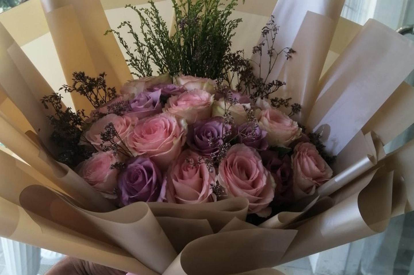 عبق 14