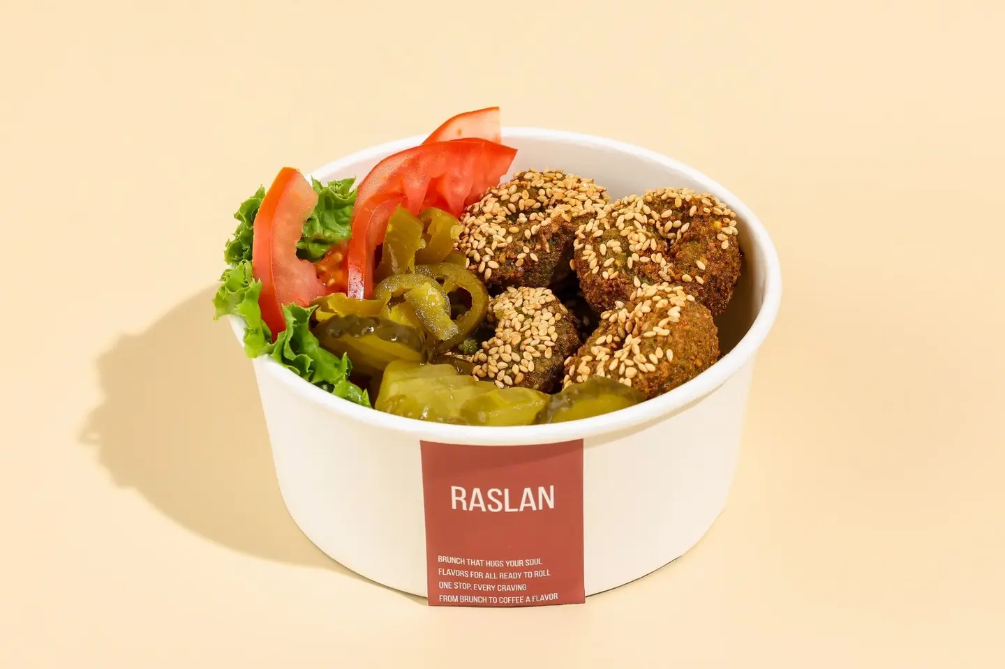 Falafel Plate