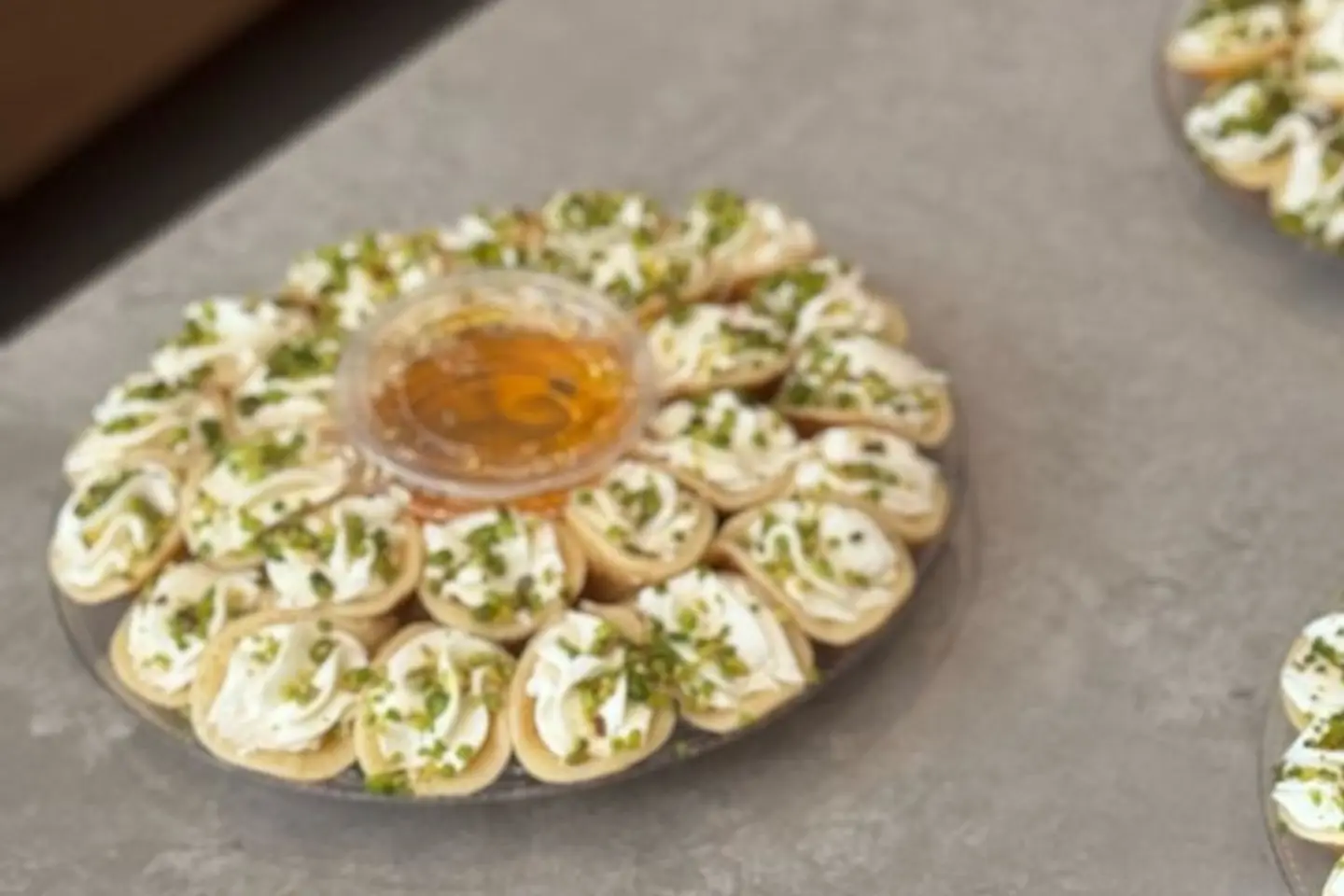 عصافير القشطة