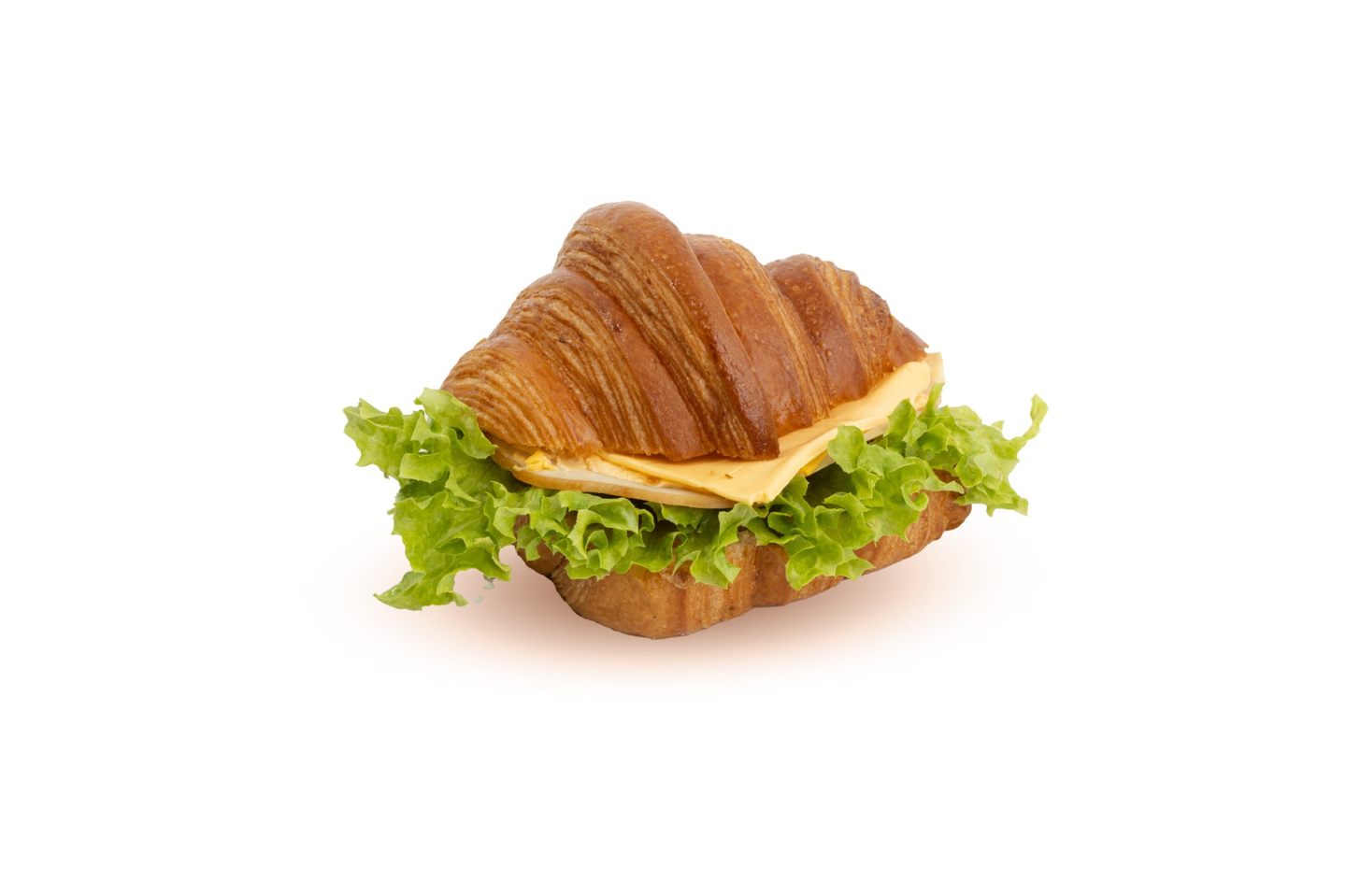 Turkey Croissant