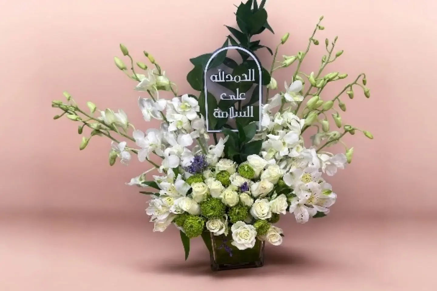 فازة أوركيد السلامة