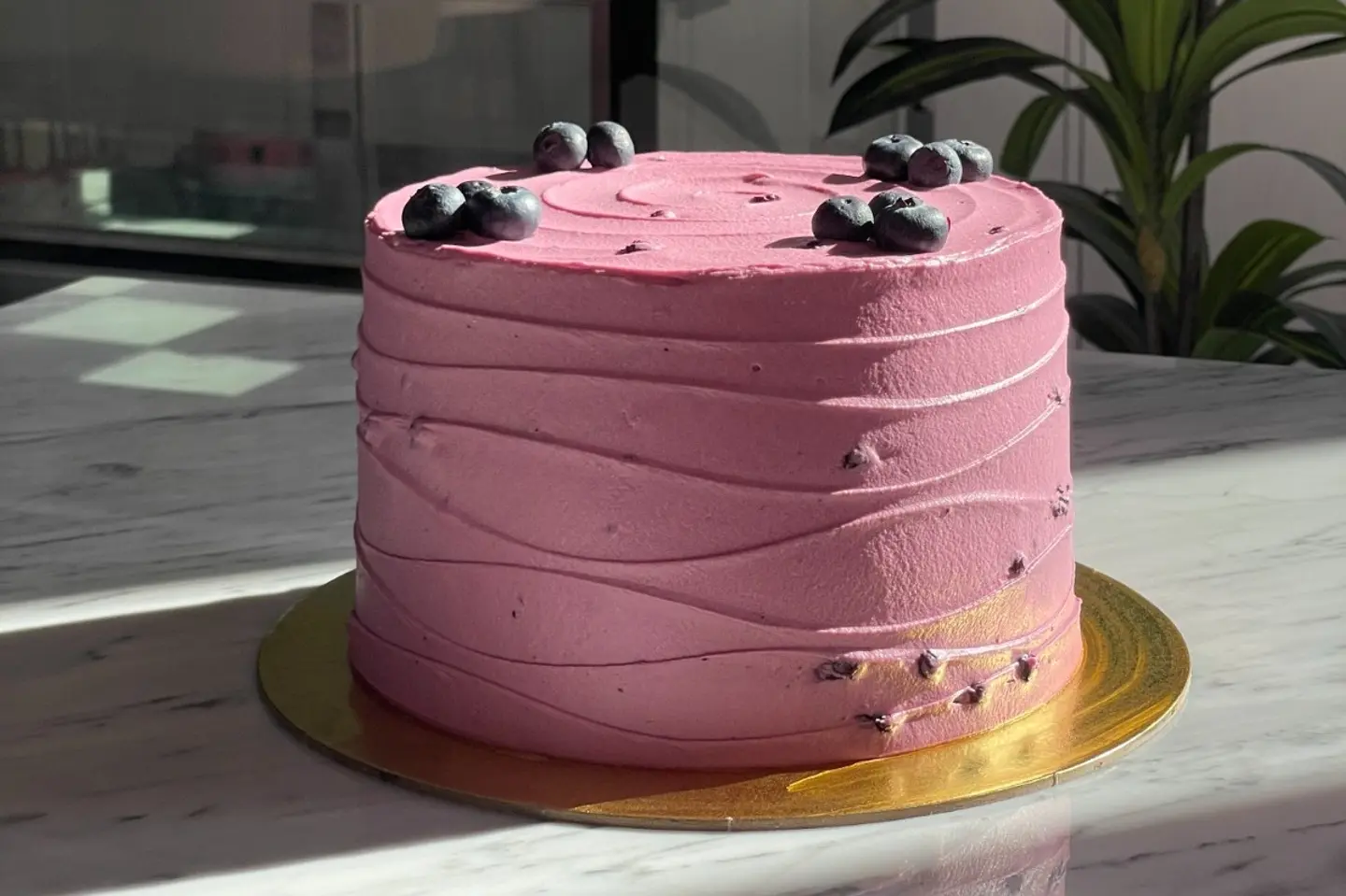Blueberry Cake