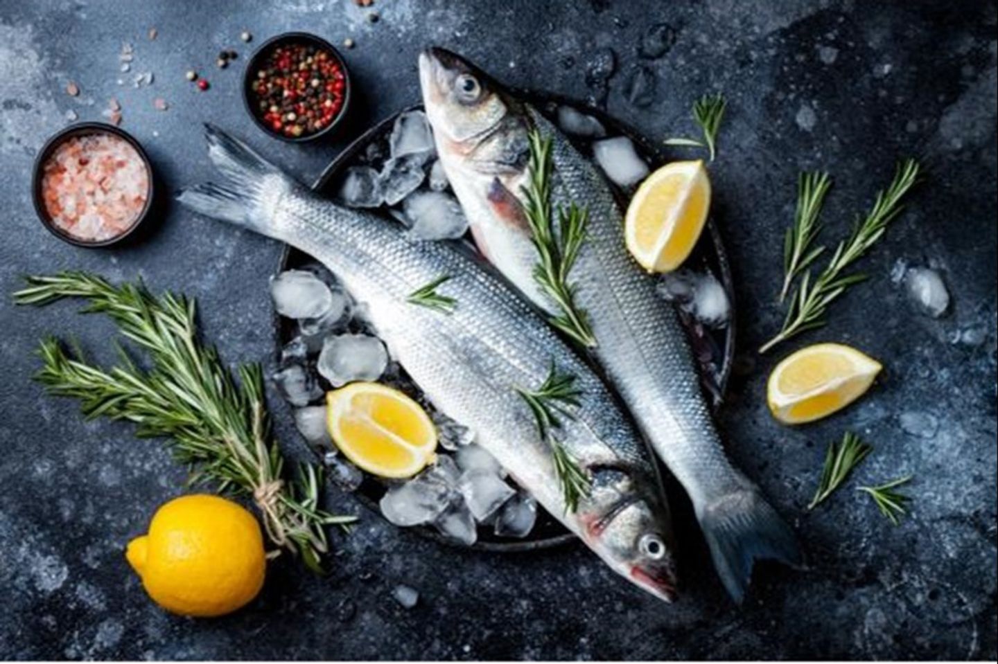 Sea Bass