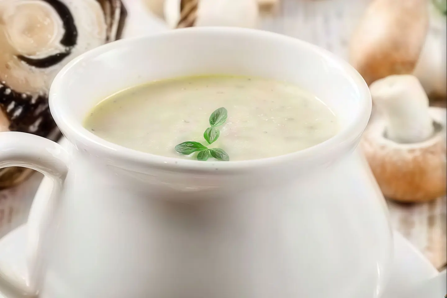 Mushroom Soup With Cream