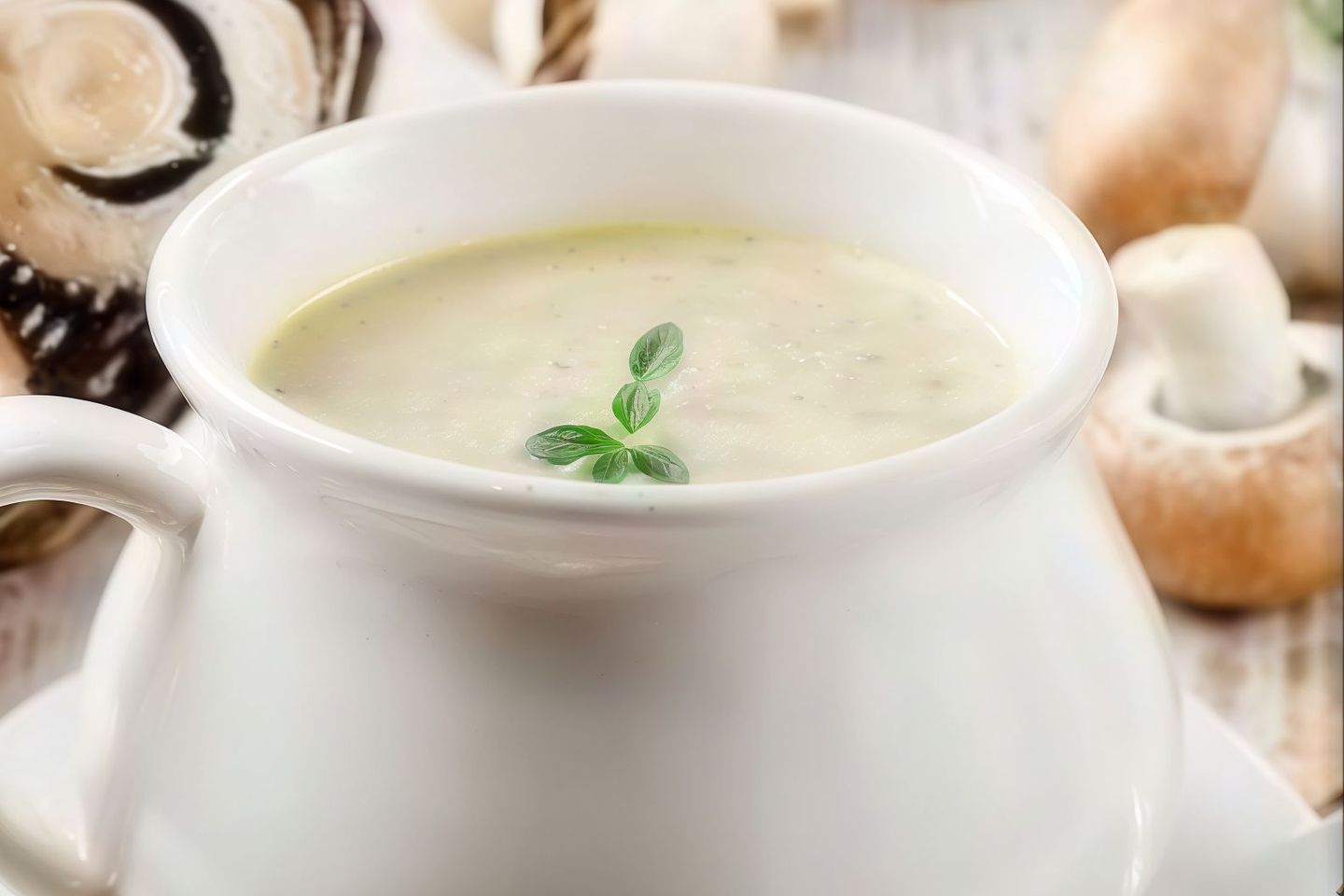 شوربة فطر بالكريمة