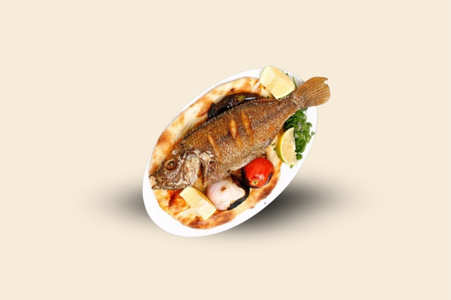 سمك بلطي طازج