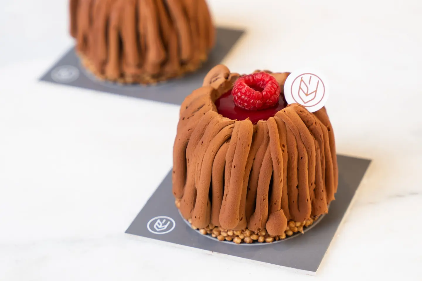 Small Chocolate Roll Cake With Raspberry