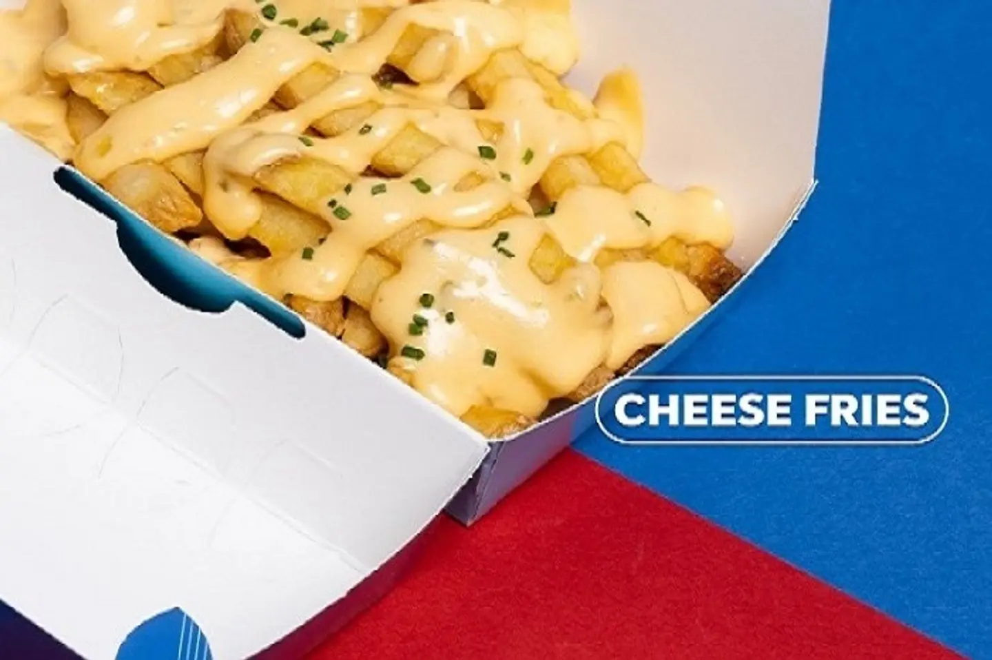 Cheese Fries
