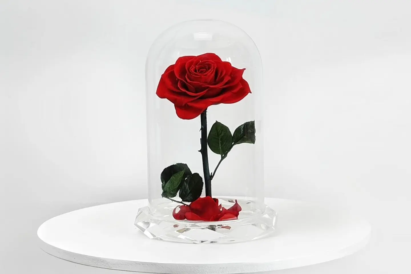 ورد طبيعي دائم احمر