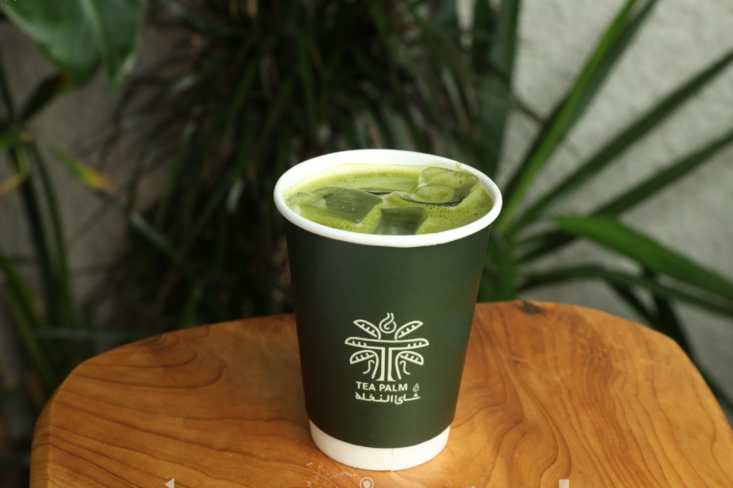 وايت موكا بارد