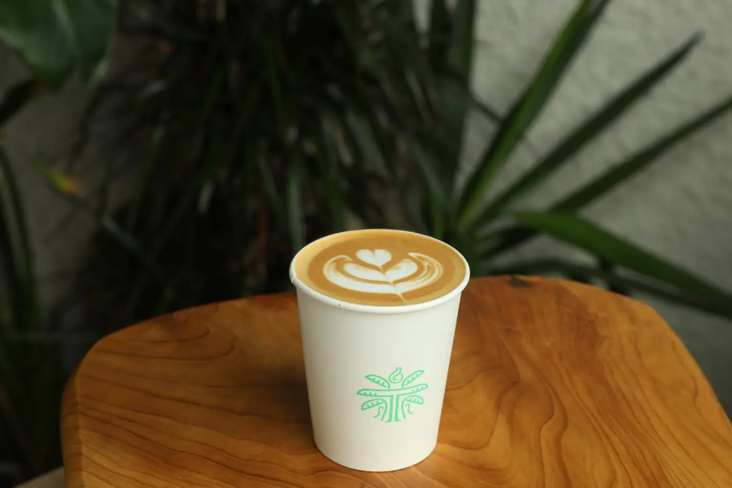 Cortado