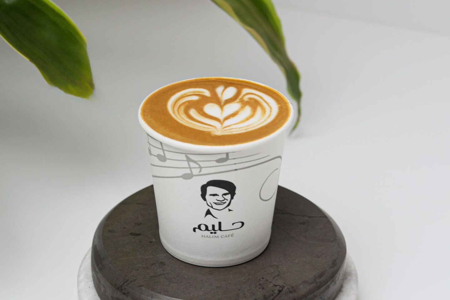 Cortado