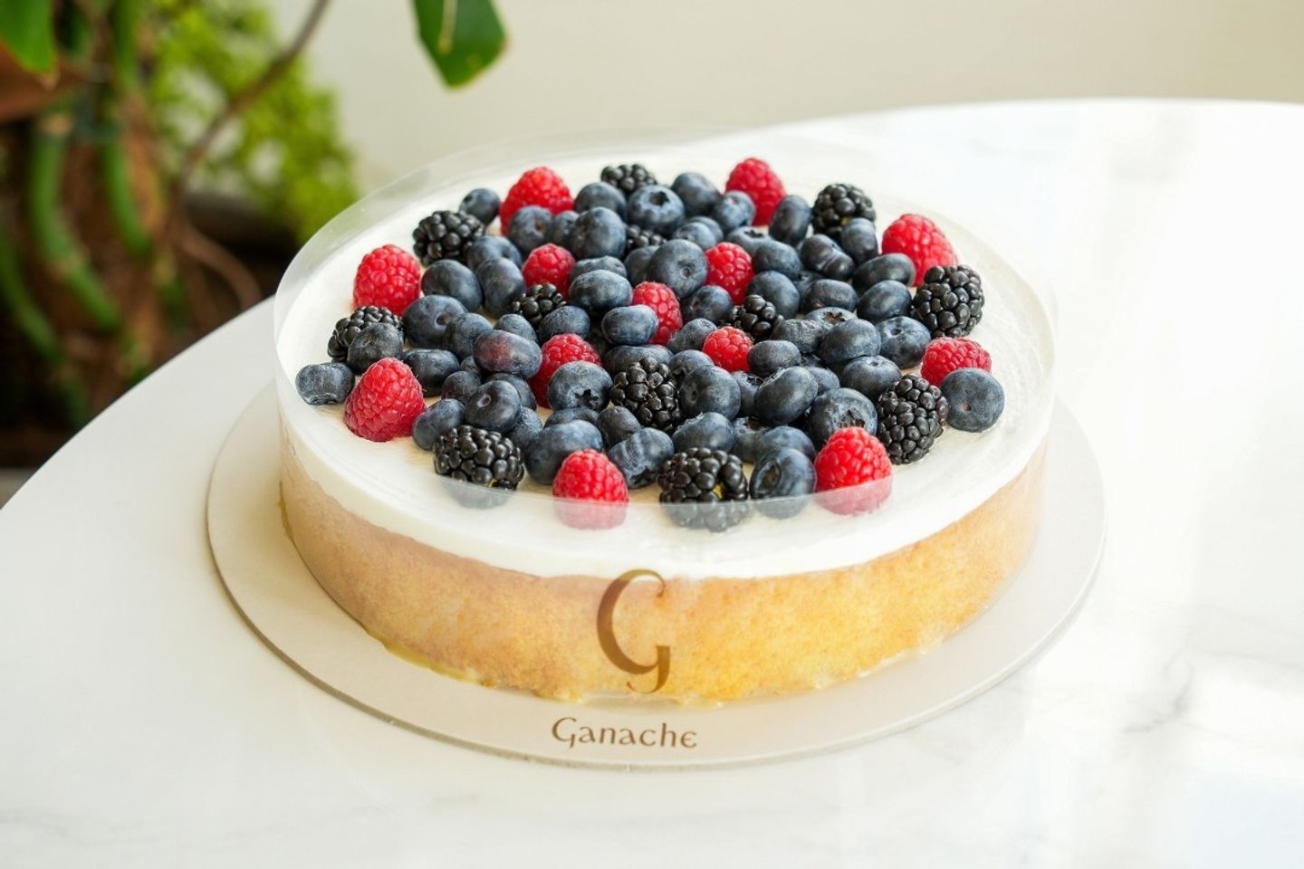 Treleches Berry Cake