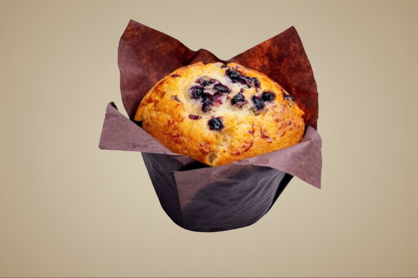 Muffin Blueberry